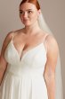 Illusion Deep-V Spaghetti Plus Size Wedding Dress Collection 9WG3985