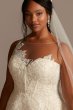 Applique Plus Size Wedding Dress with Button Back 8CWG876