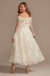 Off Shoulder Applique Plus Size Wedding Dress 8CWG902