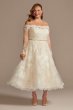 Off Shoulder Applique Plus Size Wedding Dress 8CWG902