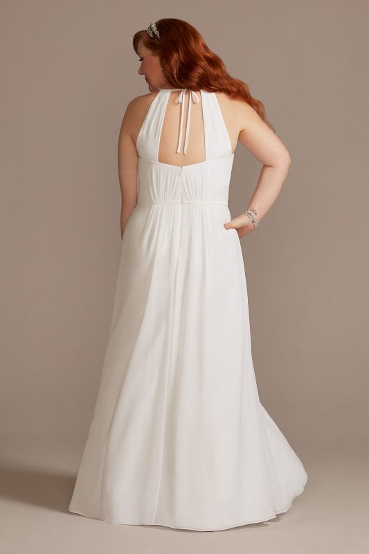 Chiffon Plus A-Line Wedding Dress with Tie Back 9SDWG0989