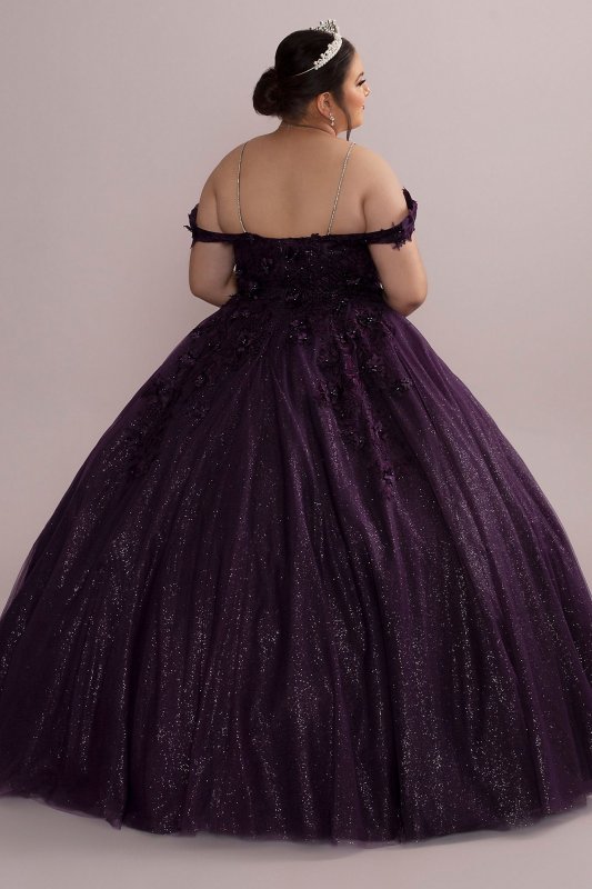 3D Floral Plus Quince Gown with Detachable Sleeves Fifteen Roses 8FR2111