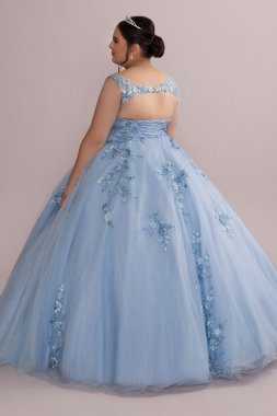 Metallic Floral Plus Size Tulle Quince Ball Gown Fifteen Roses 8FR2114