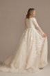 Illusion Long Sleeve Plunge Tall Wedding Dress 4XLLBSWG820