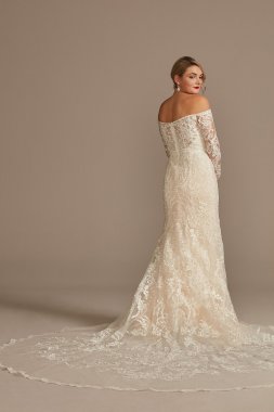 Beaded Lace Long Sleeve Tall Wedding Dress 4XLSLXTCWG808