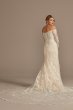 Beaded Lace Long Sleeve Tall Wedding Dress 4XLSLXTCWG808