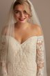 Beaded Lace Long Sleeve Tall Wedding Dress 4XLSLXTCWG808