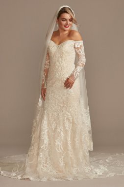 Beaded Lace Long Sleeve Tall Wedding Dress 4XLSLXTCWG808
