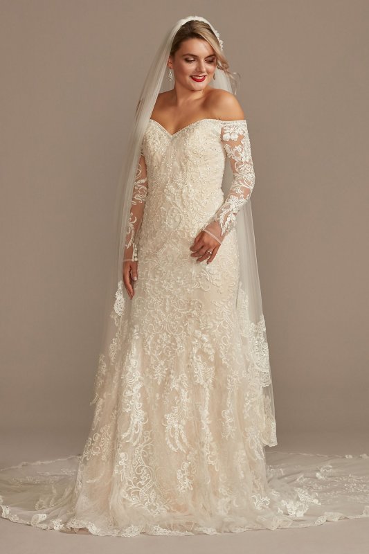 Beaded Lace Long Sleeve Tall Wedding Dress 4XLSLXTCWG808