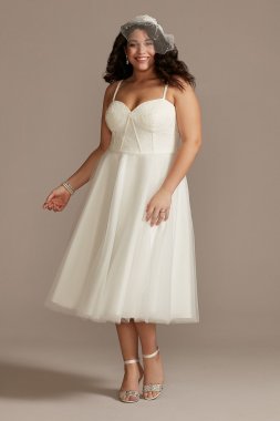 Lace Corset Bodice Tulle Skirt Plus Size Dress 9SDWG0891
