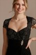 Lace Bodice V-Neck Cap Sleeve Mesh Dress WBM2478V2