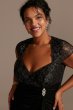 Lace Bodice V-Neck Cap Sleeve Mesh Plus Size Dress WBM2478V2W