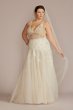 Drop Waist Beaded Applique Tall Plus Wedding Gown 4XL9SWG923