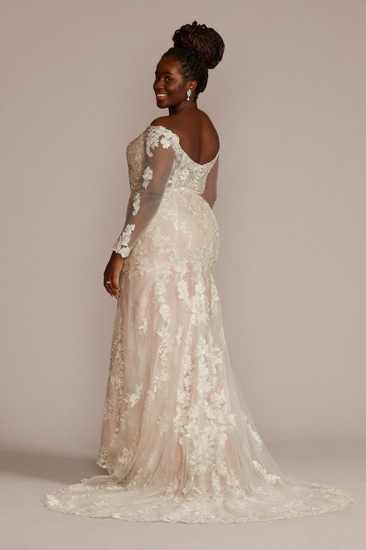 Off the Shoulder Lace Sleeve Plus Size Gown 8CWG927
