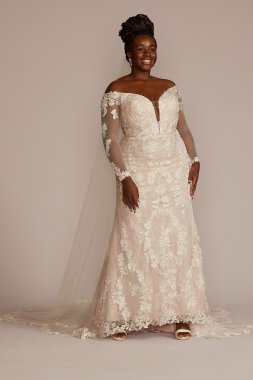 Off the Shoulder Lace Sleeve Plus Size Gown 8CWG927