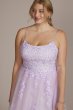 Plus Size Embroidered Lace Tulle A-Line Dress WBM2780W
