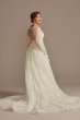 Lace Long Sleeve Keyhole Back Tall Wedding Dress 4XLCWG893