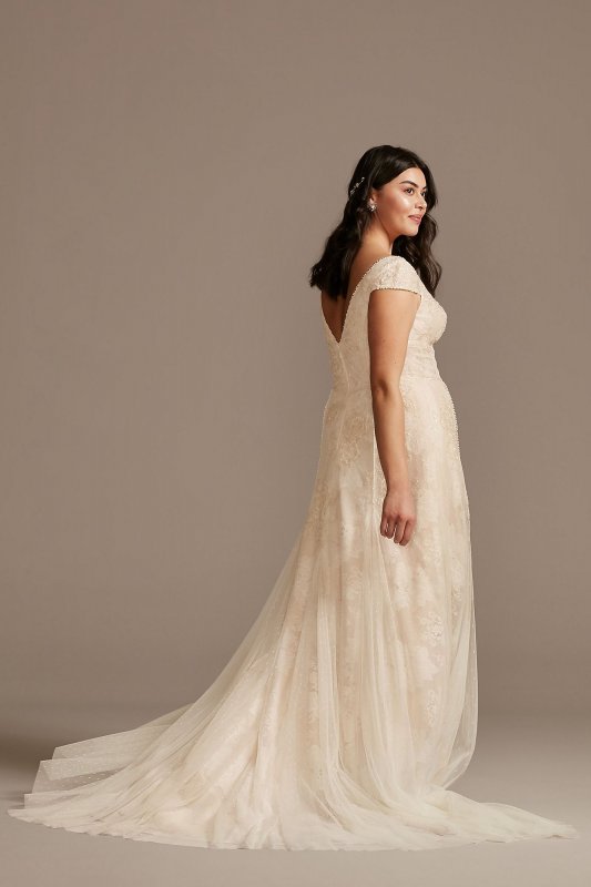 Cap Sleeve Point DEsprit Tall Plus Wedding Dress 4XL8MS251230