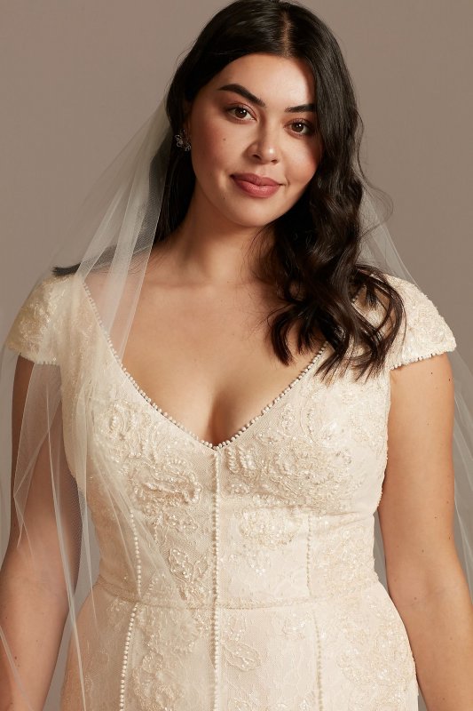 Cap Sleeve Point DEsprit Tall Plus Wedding Dress 4XL8MS251230
