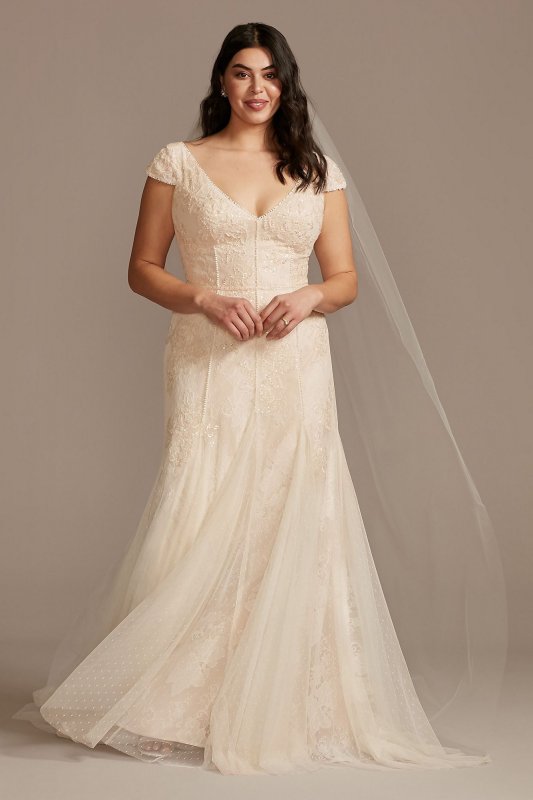 Cap Sleeve Point DEsprit Tall Plus Wedding Dress 4XL8MS251230