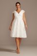 V-Neck Embroidered Lace Cap Sleeve Plus Size Dress 9SDWG0804