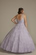 Lace Applique Semi-Cap Sleeve Plus Quince Gown Fifteen Roses 8FR2203