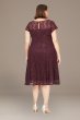 Plus Size Tea Length Illusion Sequin Lace A-Line 9419129