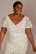 Lace Flutter Sleeve Draped Plus Size Wedding Gown 9SDWG1054
