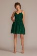 Spaghetti Strap Allover Lace Mini A-Line D24NY2108