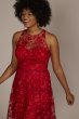 Plus Size Illusion Lace Halter A-Line Dress D39NY22188W