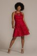 Plus Size Illusion Lace Halter A-Line Dress D39NY22188W