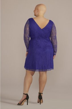Plus Lace A-Line with Long Illusion Sleeves D39NY22328W