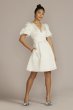 Short Satin Puff Sleeve Dress with Empire Waist SDWG1089