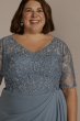 Plus Size Chiffon and Lace Empire Waist Gown WBM2813W