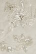 Beaded Lace Cap Sleeve Tall Plus Wedding Dress MS251263