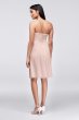 Embellished-Waist Short Mesh Bridesmaid Dress AP1E200007