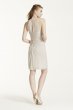 Sleeveless Short Mesh Dress with Side Cascade F15612