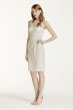 Short Tank Lace Dress with V Neckline F15952