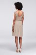 Short Lace and Mesh Dress with Illusion Neckline F17019