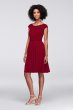 Short Lace and Mesh Dress with Illusion Neckline F17019
