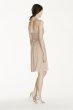 Short Lace Mesh Dress with Halter Neckline F17020