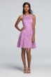 Short Sleeveless Illusion Lace Bridesmaid Dress F18031