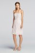 Short Scalloped Strapless Lace Mesh Dress F18094