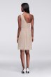 Crinkle Chiffon One-Shoulder Dress F19446