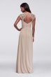 Long Mesh Dress with Lace Cap Sleeves F19505