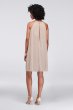 Soft Mesh Halter Short Bridesmaid Dress F19751