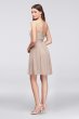 Y-Neck Mesh Short Bridesmaid Dress F19753