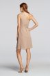 Short One Shoulder Crinkle Chiffon Dress W10941