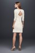 3/4-Sleeve Lace Sheath Dress with Keyhole Back 184230DB