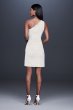 Scalloped One-Shoulder Lace Mini Dress 184781DB